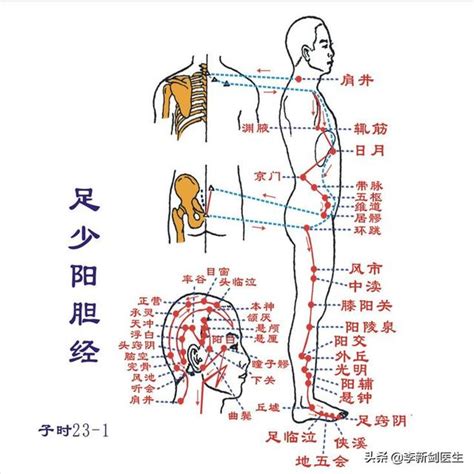 風是穴|中醫保健穴位詳解，風池穴的適宜對象、操作技巧、禁。